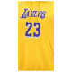 Nike Ανδρικό φούτερ LAL MNK CLUB HDY PO N&N